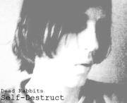 Dead Rabbits : Self Destruct